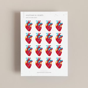 Mini feuille d'autocollants illustration de coeurs anatomiques, coeur annoté, illustration médicale, autocollants médicaux, autocollants coeur, anatomie du coeur