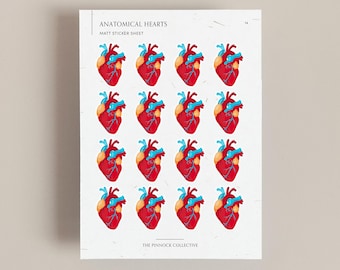 Stickervel illustratie mini anatomische harten, hart met aantekeningen, medische illustratie, medische stickers, hartstickers, hartanatomie