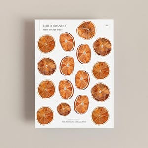 Feuille d'autocollants oranges séchées | Fleurs botaniques | Autocollants aquarelle | Illustrations botaniques | Autocollants d'Halloween | Motifs floraux