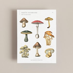 Folha de adesivos de cogumelo e cogumelo com ilustrações vintage | Adesivos de outono | Adesivos sazonais | Suprimentos para diário | Ephemera