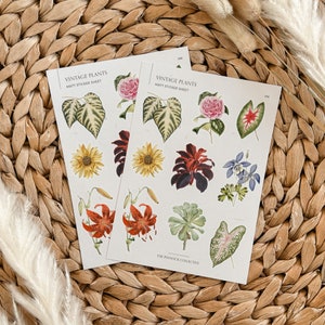 May include: Two sheets of vintage plant stickers with a matte finish. The stickers feature illustrations of various plants, including sunflowers, lilies, and leaves. The sheets are labeled "Vintage Plants Matt Sticker Sheet" and "The Finnock Collective."