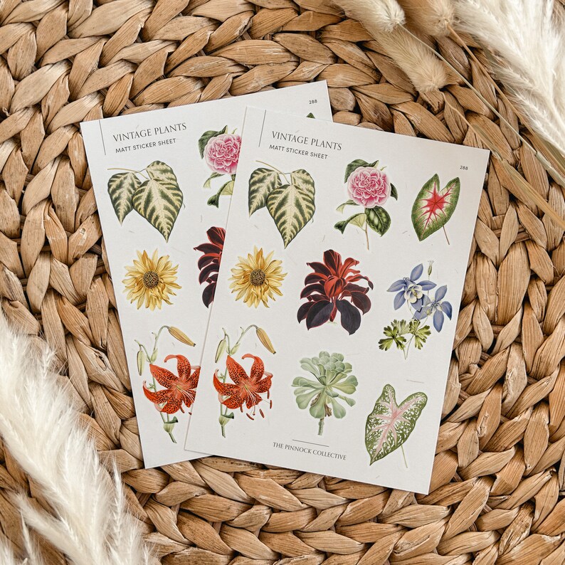 May include: Two sheets of vintage plant stickers with a matte finish. The stickers feature illustrations of various plants, including sunflowers, lilies, and leaves. The sheets are labeled "Vintage Plants Matt Sticker Sheet" and "The Finnock Collective."