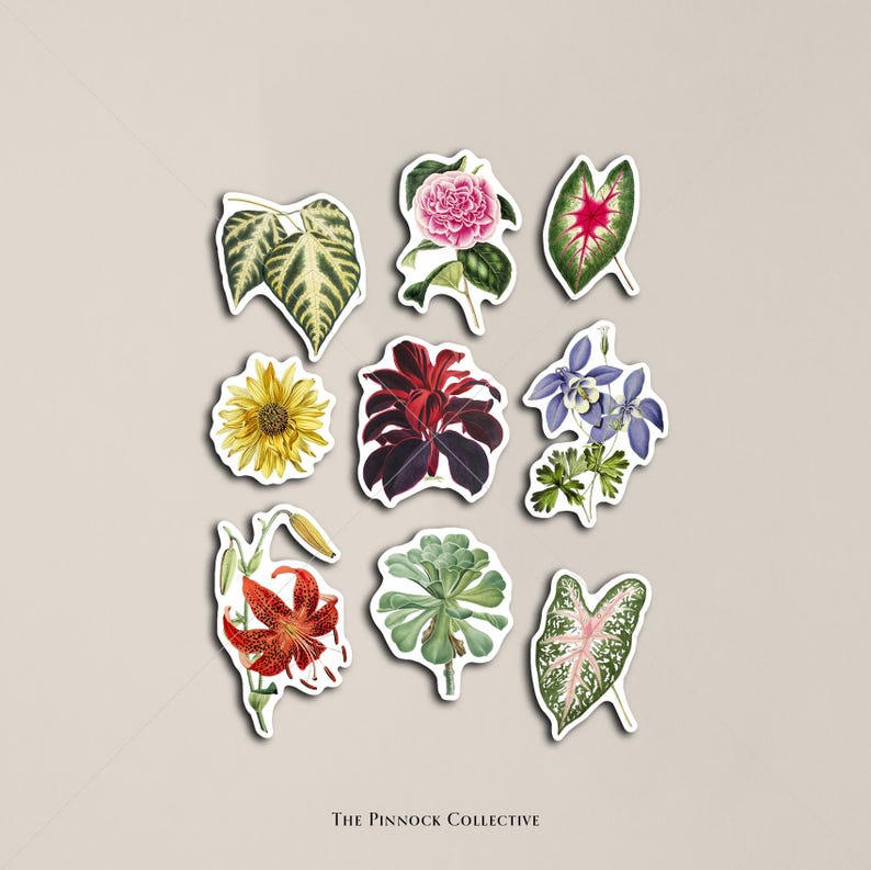 May include: A set of nine botanical stickers featuring various flowers, leaves, and plants. The stickers are printed on white paper and have a glossy finish. The designs include a sunflower, a red lily, a pink camellia, a blue flower, a green succulent, and several types of leaves.