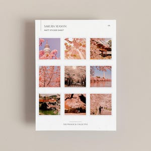 Hoja de pegatinas / Temporada de Sakura / Pegatinas de Sakura / Pegatinas de flor de cerezo / Pegatinas de temporada / Pegatinas de flores / Pegatinas decorativas de Sakura