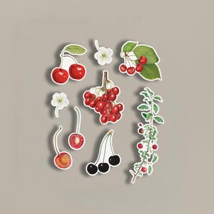 Vintage Kirschen Illustrationen Sticker Pack, Obst Aufkleber, Scrapbook Aufkleber, Vintage Aufkleber, Kirschfrucht, Vintage Kunstdrucke
