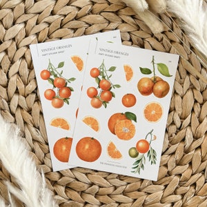 Vintage Oranges Illustrations Sticker sheet | Fruit themed stickers | scrapbook stickers | Vintage Stickers | Orange fruit | Vintage prints