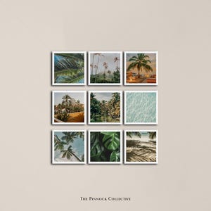 May include: A collage of nine images featuring tropical landscapes, palm trees, and ocean scenes. The images are arranged in a grid pattern and have a white border.