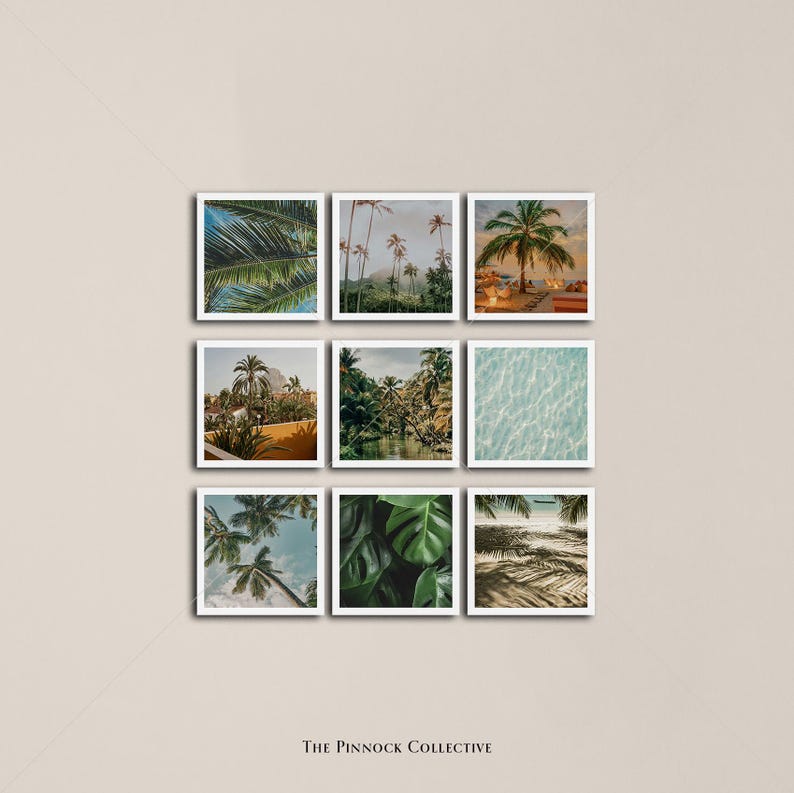 May include: A collage of nine images featuring tropical landscapes, palm trees, and ocean scenes. The images are arranged in a grid pattern and have a white border.