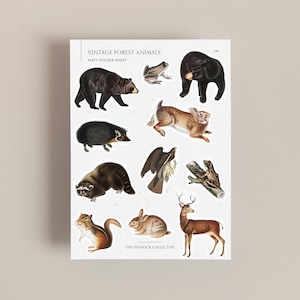 Foglio di adesivi / Animali della foresta / Foglio di adesivi vintage / Illustrazioni Academia / Adesivi animali / Effimere vintage / Effimere animali