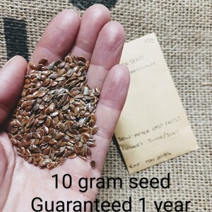 FLAX seed,  Linum Usitatissimum