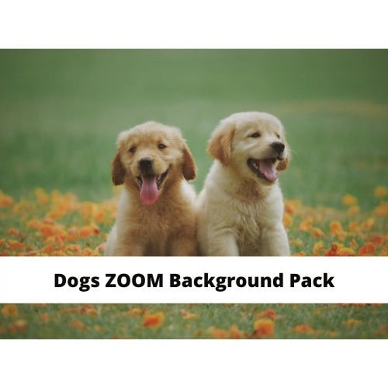 NEW Pack of 9 2020 ZOOM dogs Background Keep everyone Etsy
