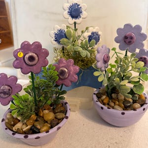 May include: Three ceramic flower planters. Two are lavender with purple polka dots and filled with pebbles and greenery. The flowers are purple with a yellow center. The third planter is blue with white and blue flowers.