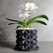 see more listings in the Planters / Pots section