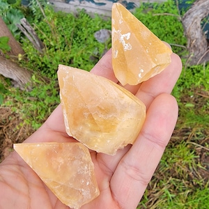 Three Golden Stellarbeam Calcite Crystals Montana Multi-Pack