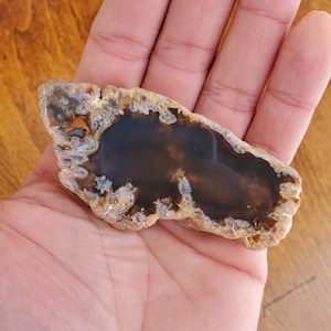 Rare USA Plume Agate Glassy (Mirror Polished Specimen) Montana
