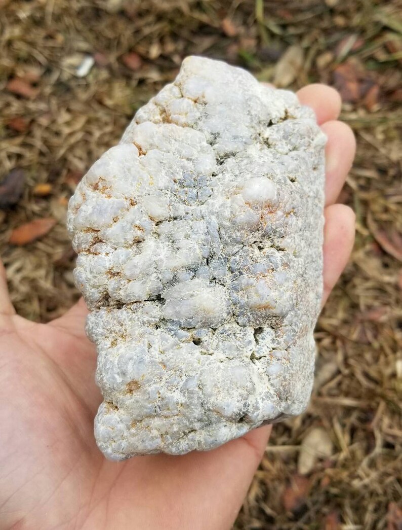 Giant Red Botryoidal and Fortification Agate Polished Specimen (montana ...