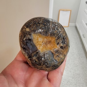May include: A polished, rounded stone with a mix of dark brown, black, and tan colors. The stone has a central, lighter-colored area with a crystalline appearance. The surface is smooth and reflective, suggesting it has been treated.