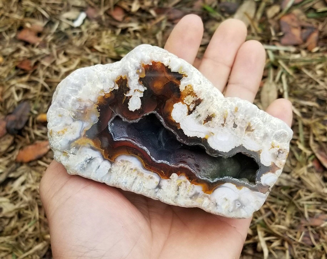 Giant Red Botryoidal and Fortification Agate Polished Specimen (montana ...