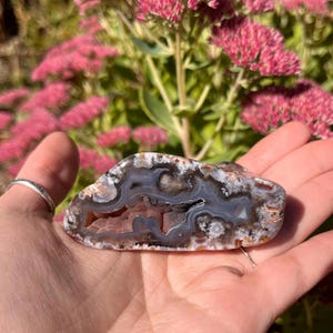May include: A polished agate stone slice featuring concentric bands of gray, white, and translucent brown colors. The center reveals a small, textured geode cavity with reddish-brown crystalline formations surrounded by a smooth, multi-colored outer edge.