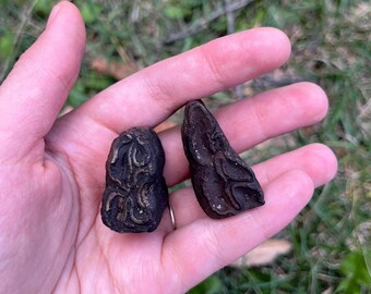 馬の歯 化石？ 天然石 波状模様のクリーム色 クリスタル 馬（ウマ・午