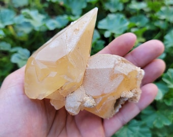 12 Ounce Double Terminated Golden Stellarbeam Calcite Crystal Cluster (Montana)