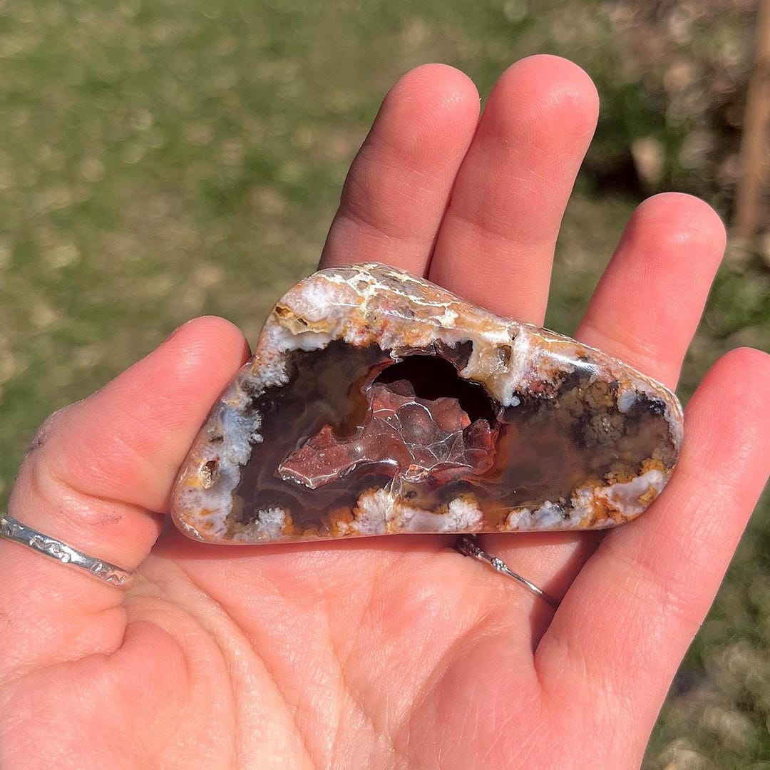 Primo Red Fortification Botryoidal Agate With Plumes Rare Montana ...