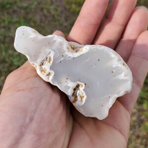 Milky Clear Montana Agate White Plumage Black Spots Polished 5.4oz
