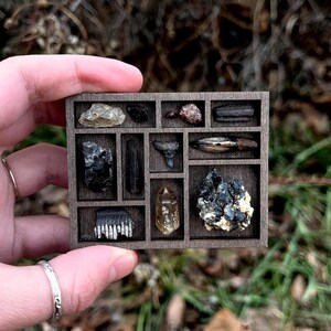 Puede incluir: Una caja de exhibición de madera con compartimentos que contienen diferentes minerales y cristales. Los cristales varían en color, incluyendo transparente, negro, marrón y amarillo. La caja se sostiene en una mano, con un fondo borroso de naturaleza.