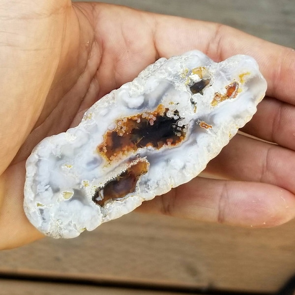 White Fortification Agate with Black Core (Montana)