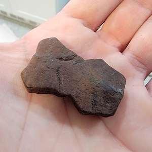 Op de afbeelding: Een kleine, onregelmatig gevormde, donkerbruine steen met een ruw, getextureerd oppervlak. De steen wordt in een hand gehouden en toont zijn natuurlijke, aardse tinten en unieke vorm. De steen lijkt een fragment te zijn.