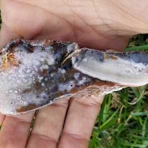Polished Plume Agate (Rare) Montana Agate
