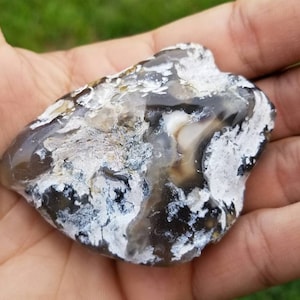 Agatized Petrified Wood Polished Specimen (Eastern Montana)