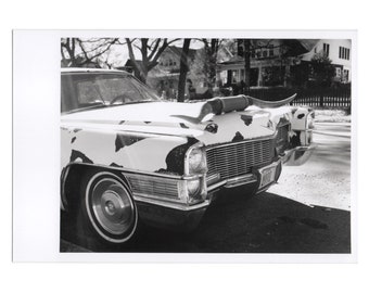 Real Photo Postcard, Belmont Blvd, Moo Cadillac, Nashville, Jan, 1999.