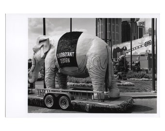 Real Photo Postcard, Nashville Riverfront Park, Big Elephant. September, 1998.