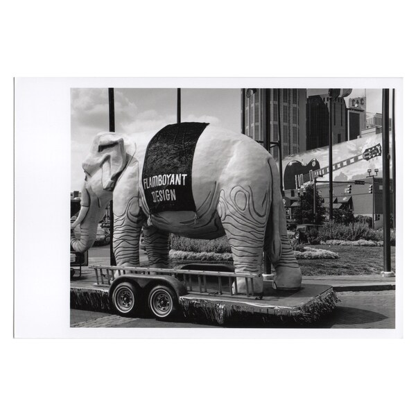 Real Photo Postcard, Nashville Riverfront Park, Big Elephant. September, 1998.