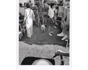 Real Photo Postcard, Centennial Park, TACA Craft Show, Nashville, 1997.