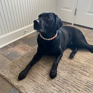 May include: A black Labrador Retriever dog wearing a colorful beaded collar, lying on a beige rug with a textured pattern.