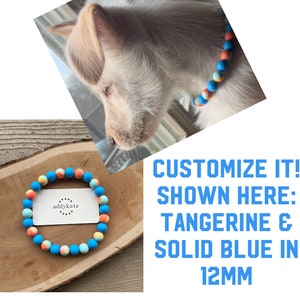 AU NATURALE IN TANGERINE DOG COLLAR