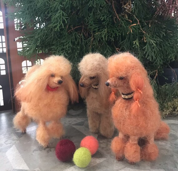 How Much Are Apricot Toy Poodles