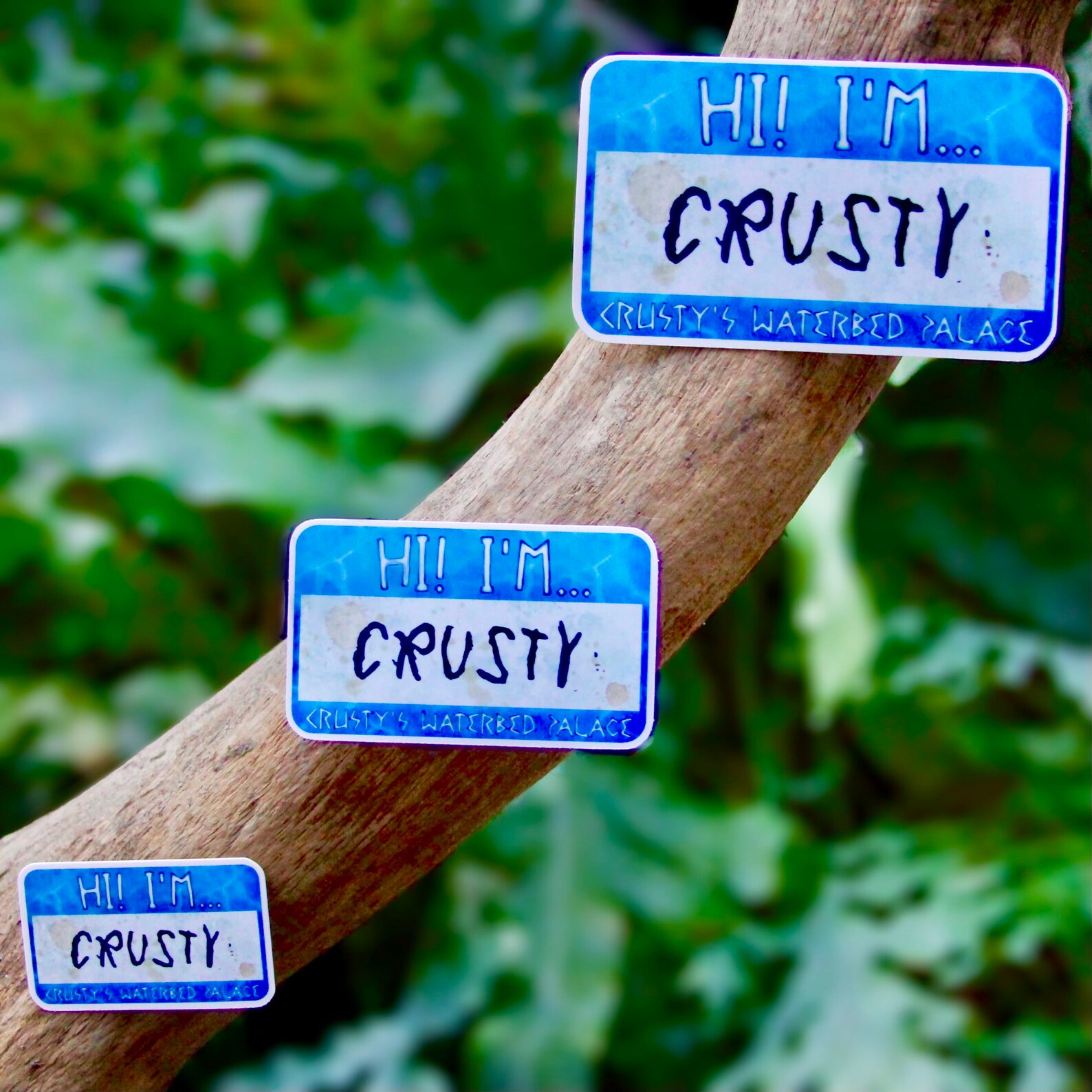 Hi I'm Crusty Sticker Crusty's Waterbed Palace Etsy
