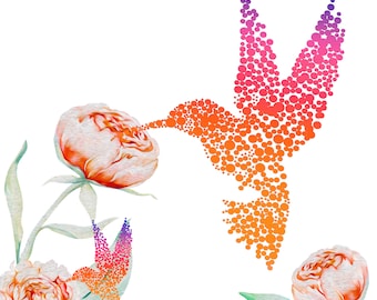 Humming bird