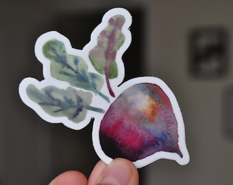 Two inch vinyl water bottle sticker / laptop sticker / beet root vegetable hand painted watercolor art / removable sticker / purple blue