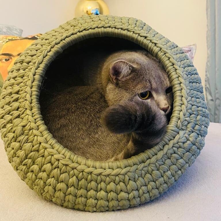 cat caves for sale