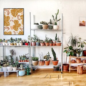 May include: A white metal shelf unit with two shelves filled with potted plants. The plants are mostly succulents and cacti, and there are a few ferns and other leafy plants. The shelf unit is against a white wall, and there is a framed print of a tropical leaf design on the wall above the shelf unit.