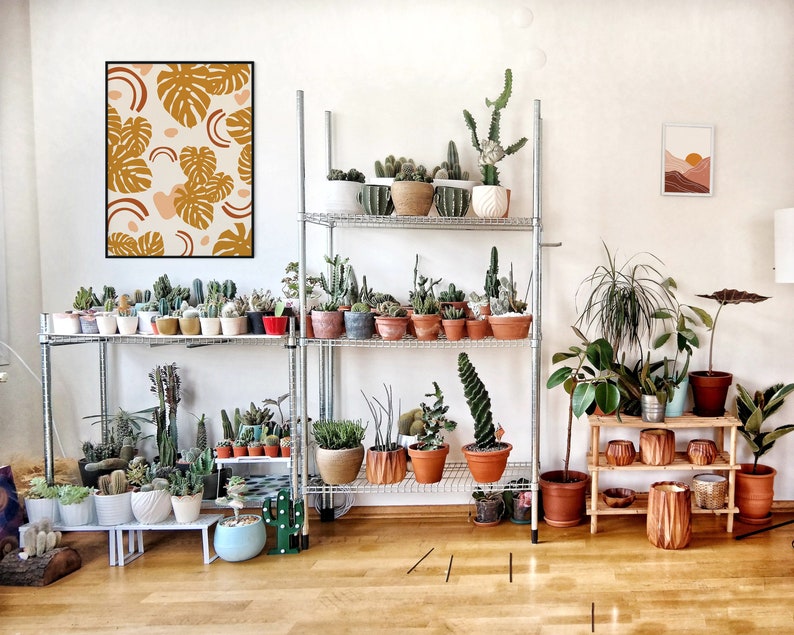May include: A white metal shelf unit with two shelves filled with potted plants. The plants are mostly succulents and cacti, and there are a few ferns and other leafy plants. The shelf unit is against a white wall, and there is a framed print of a tropical leaf design on the wall above the shelf unit.