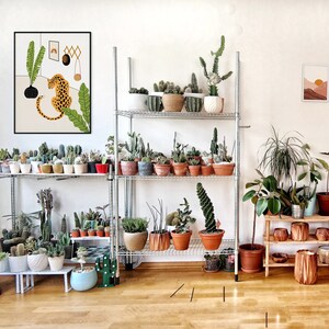 May include: A white metal shelf unit with multiple shelves filled with potted plants. The shelf unit is against a white wall with a framed print of a leopard and a framed print of a sunset landscape. There are also potted plants on the floor in front of the shelf unit.