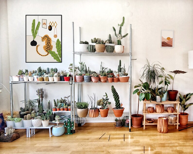 May include: A white metal shelf unit with multiple shelves filled with potted plants. The shelf unit is against a white wall with a framed print of a leopard and a framed print of a sunset landscape. There are also potted plants on the floor in front of the shelf unit.