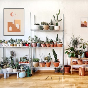 May include: A metal shelving unit with multiple potted plants, including succulents and cacti. The shelves are against a white wall with a brown and orange abstract print hanging above them. There is a wooden shelf with potted plants and a brown and orange abstract print hanging above it.