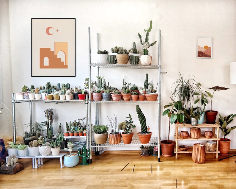 May include: A metal shelving unit with multiple potted plants, including succulents and cacti. The shelves are against a white wall with a brown and orange abstract print hanging above them. There is a wooden shelf with potted plants and a brown and orange abstract print hanging above it.