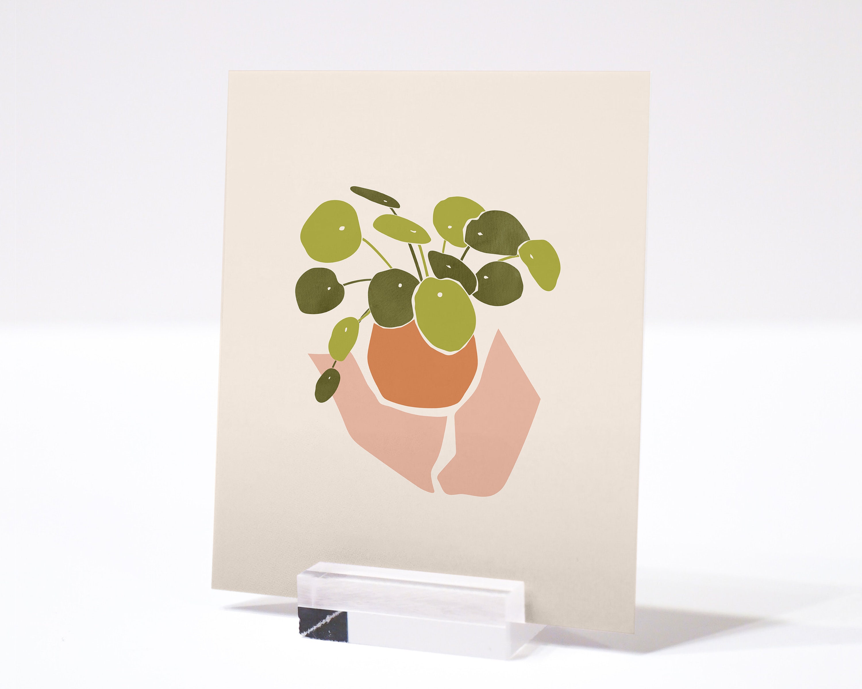 Chinese Money Plant Art Print Pilea Wall Art Potted Plant - Etsy